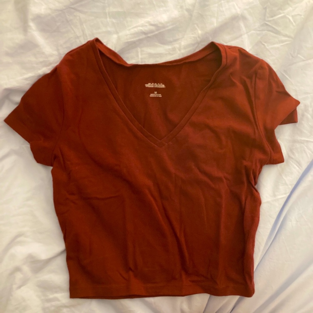 WILD FABLE dark red v-neck crop top